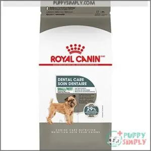 Royal Canin Small Dog Dental