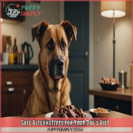 Safe Alternatives for Your Dog's Diet Safe Alternatives for Your Dog's Diet