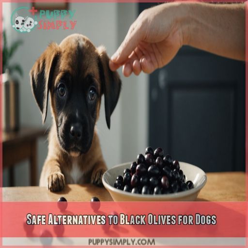 Safe Alternatives to Black Olives for Dogs