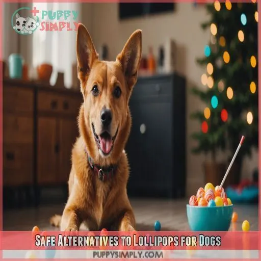 Safe Alternatives to Lollipops for Dogs