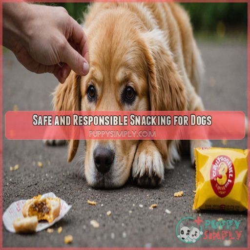 Safe and Responsible Snacking for Dogs