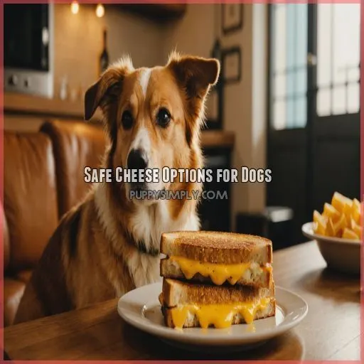 Safe Cheese Options for Dogs