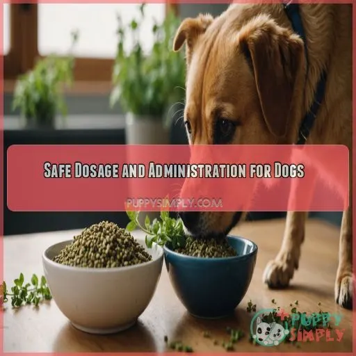 Safe Dosage and Administration for Dogs