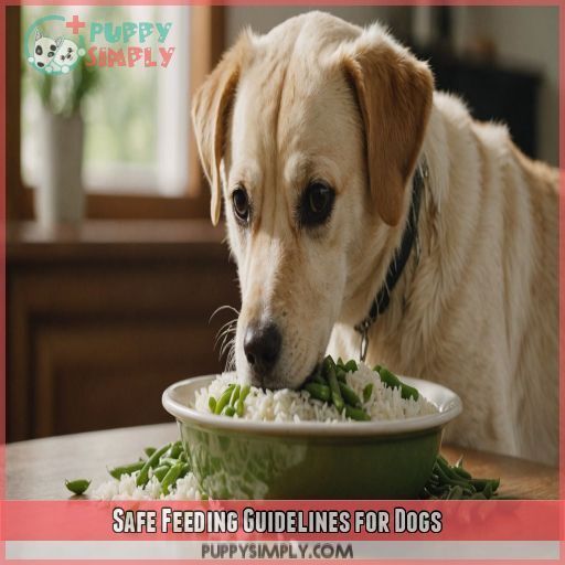 Safe Feeding Guidelines for Dogs Safe Feeding Guidelines for Dogs