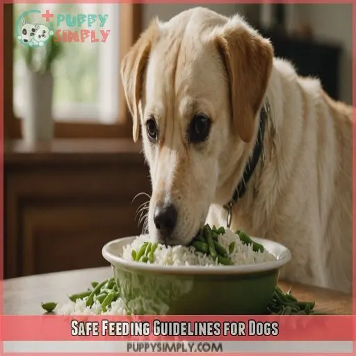 Safe Feeding Guidelines for Dogs