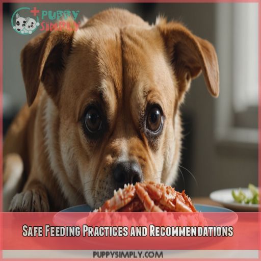 Safe Feeding Practices and Recommendations