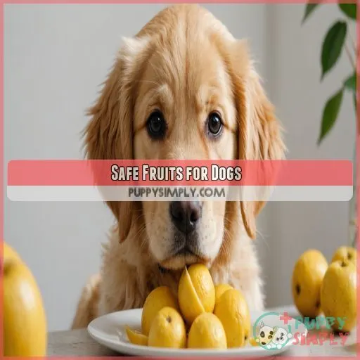 Safe Fruits for Dogs