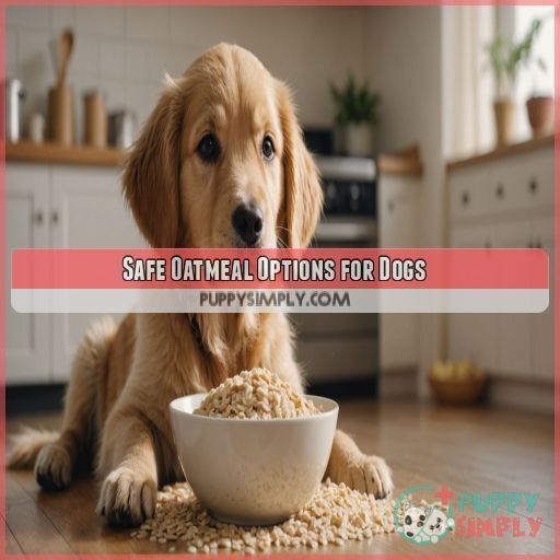 Safe Oatmeal Options for Dogs Safe Oatmeal Options for Dogs