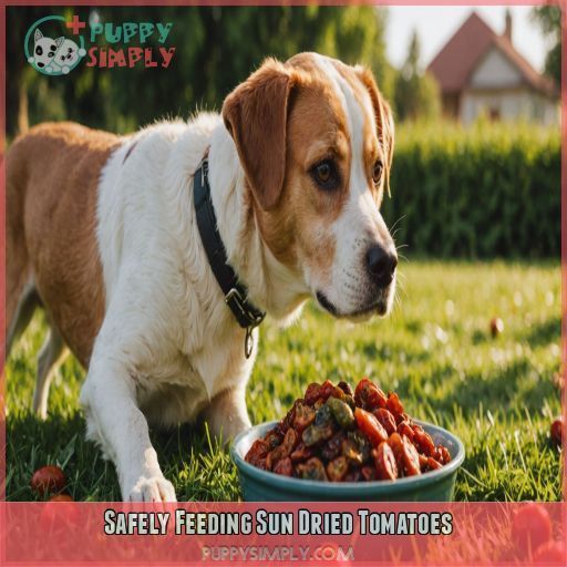 Safely Feeding Sun Dried Tomatoes