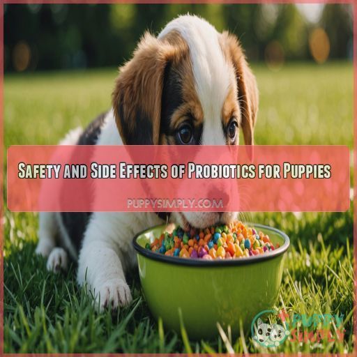 Safety and Side Effects of Probiotics for Puppies