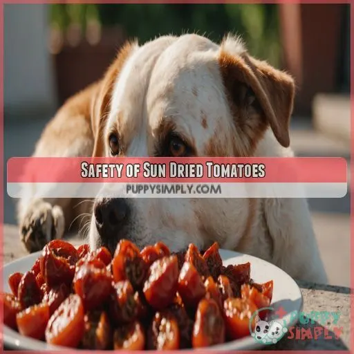 Safety of Sun Dried Tomatoes