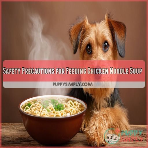 Safety Precautions for Feeding Chicken Noodle Soup