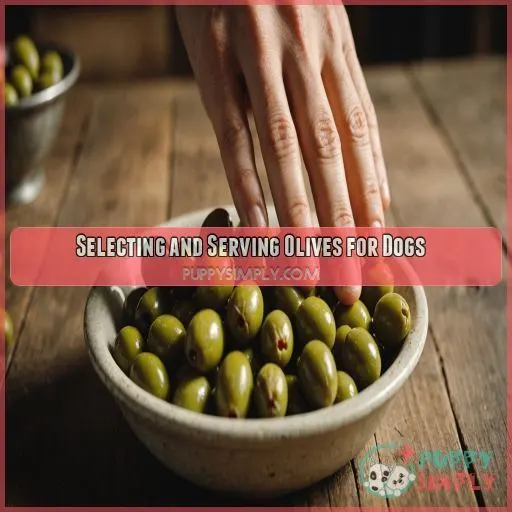 Selecting and Serving Olives for Dogs