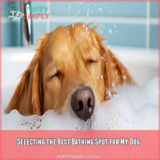 Selecting the Best Bathing Spot for My Dog