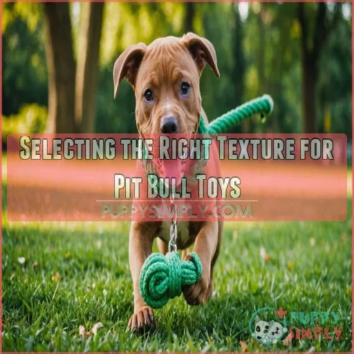 Selecting the Right Texture for Pit Bull Toys