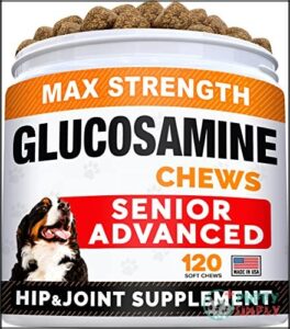 Senior Advanced Glucosamine Chondroitin Joint