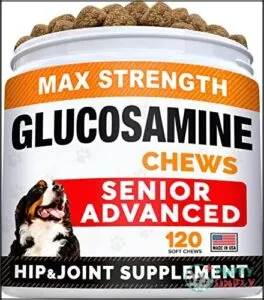 Senior Advanced Glucosamine Chondroitin Joint