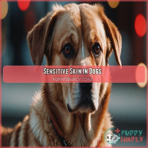 Sensitive Skin in Dogs