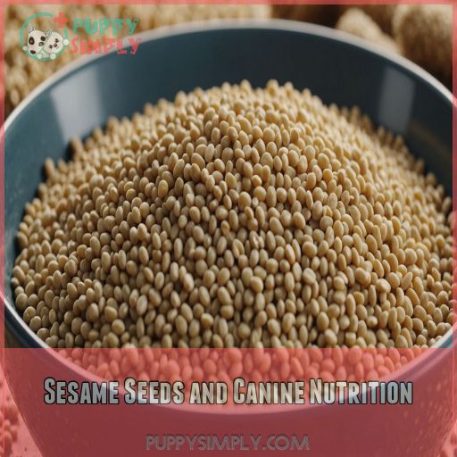 Sesame Seeds and Canine Nutrition