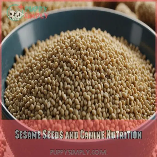 Sesame Seeds and Canine Nutrition