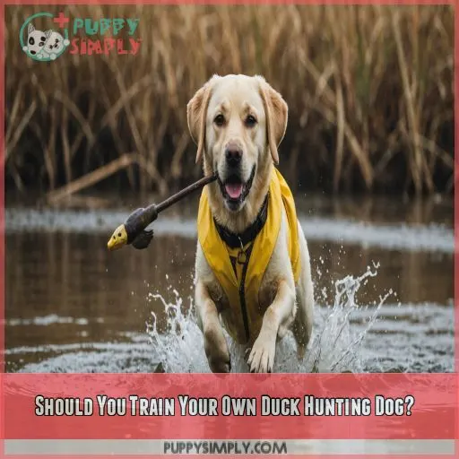 Should You Train Your Own Duck Hunting Dog