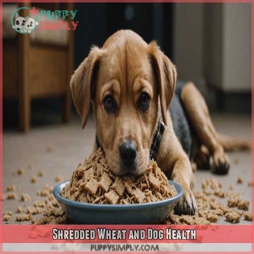 Shredded Wheat and Dog Health