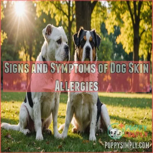 Signs and Symptoms of Dog Skin Allergies