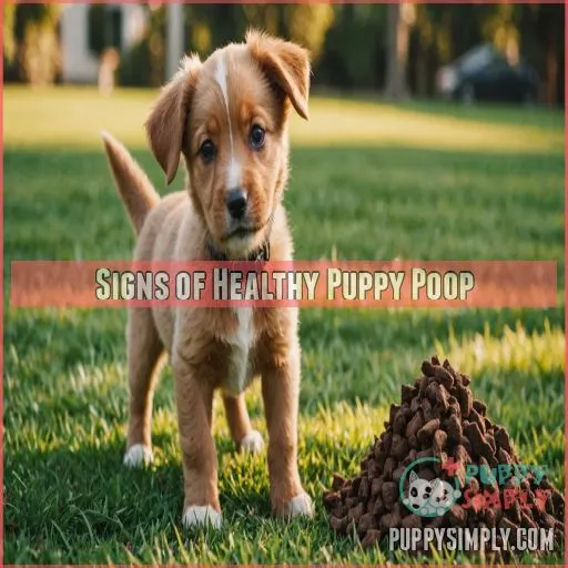 Signs of Healthy Puppy Poop