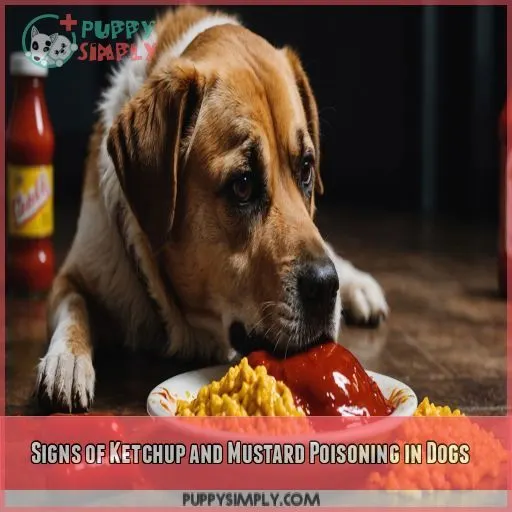 Signs of Ketchup and Mustard Poisoning in Dogs