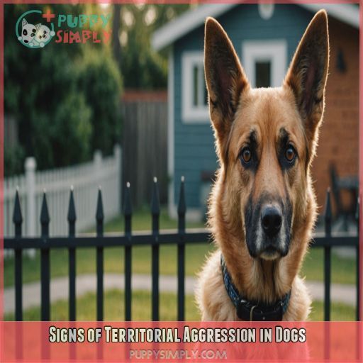 Signs of Territorial Aggression in Dogs