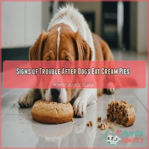 Signs of Trouble After Dogs Eat Cream Pies