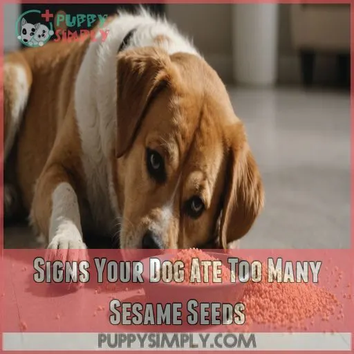 Signs Your Dog Ate Too Many Sesame Seeds