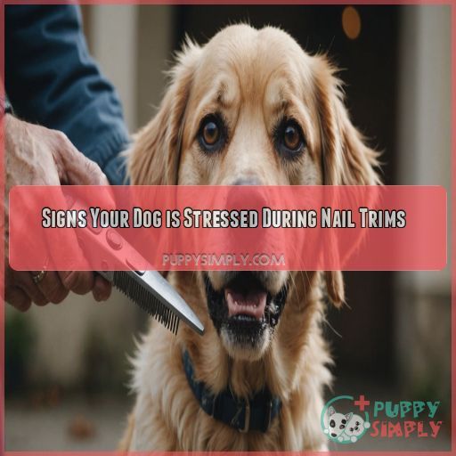 Signs Your Dog is Stressed During Nail Trims