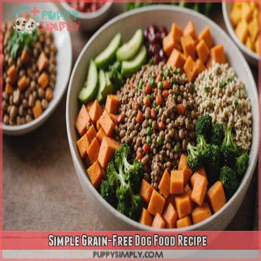 Simple Grain-Free Dog Food Recipe