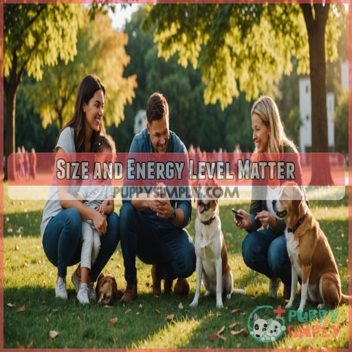 Size and Energy Level Matter