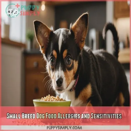 Small Breed Dog Food Allergies and Sensitivities