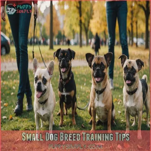 Small Dog Breed Training Tips