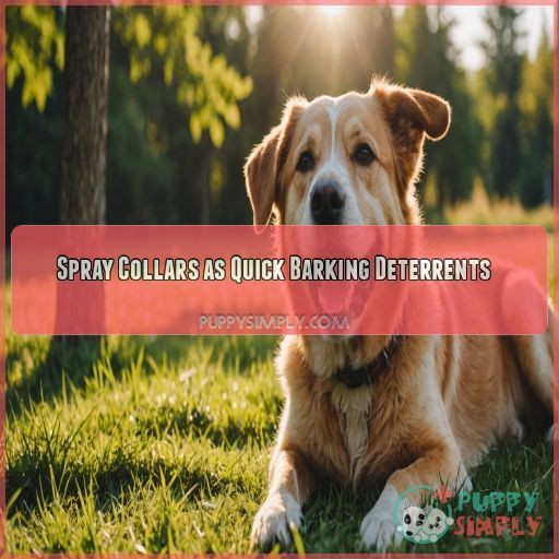 Spray Collars as Quick Barking Deterrents