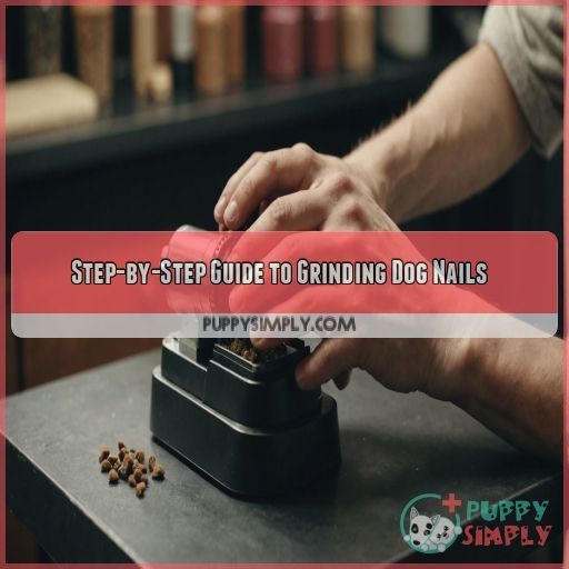 Step-by-Step Guide to Grinding Dog Nails