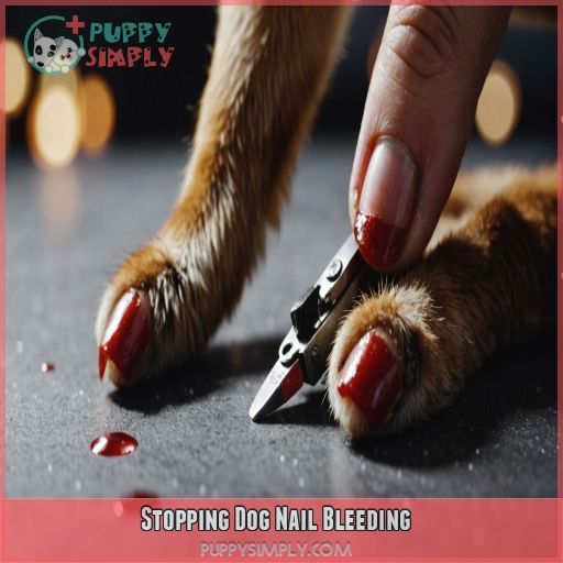 Stopping Dog Nail Bleeding