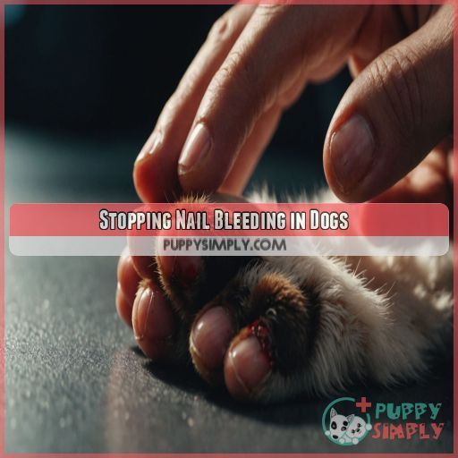 Stopping Nail Bleeding in Dogs