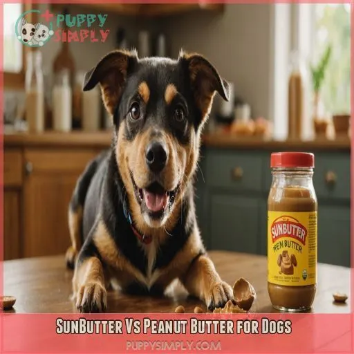 SunButter Vs Peanut Butter for Dogs