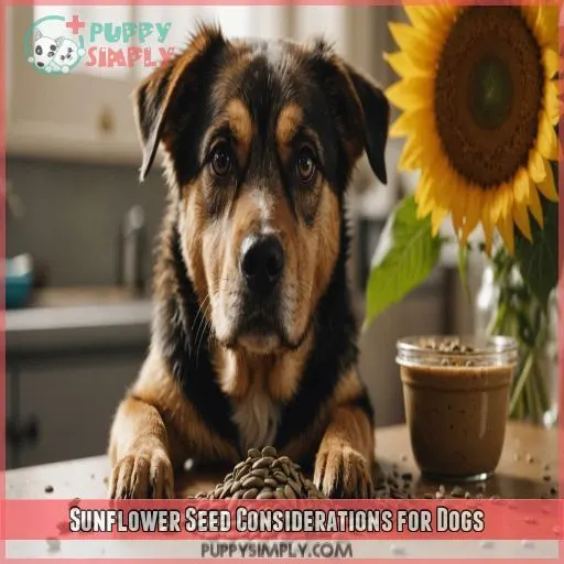 Sunflower Seed Considerations for Dogs