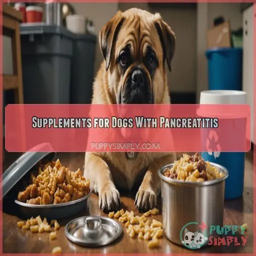 Supplements for Dogs With Pancreatitis