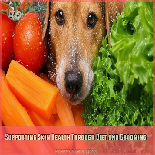 Supporting Skin Health Through Diet and Grooming