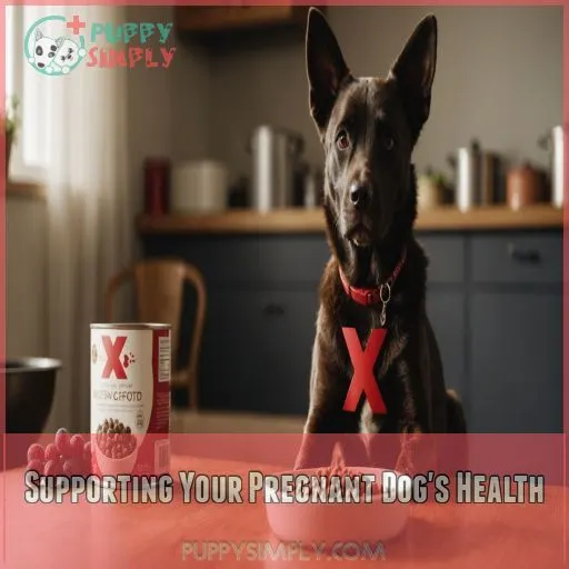 Supporting Your Pregnant Dog