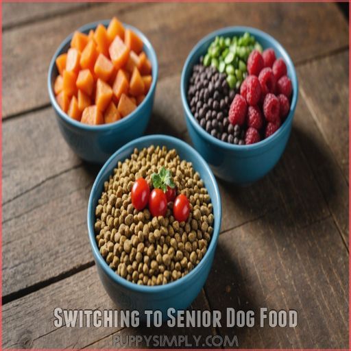 Switching to Senior Dog Food