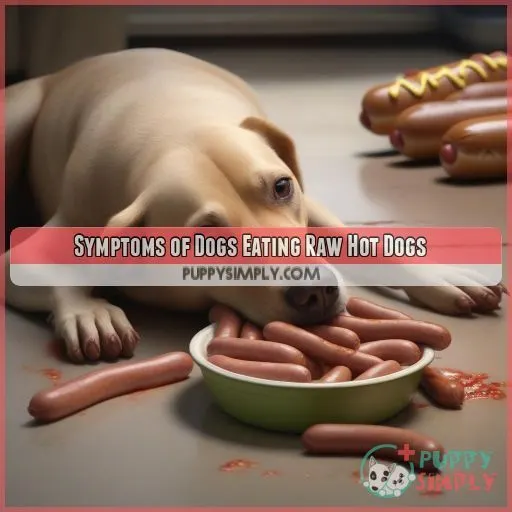 Symptoms of Dogs Eating Raw Hot Dogs