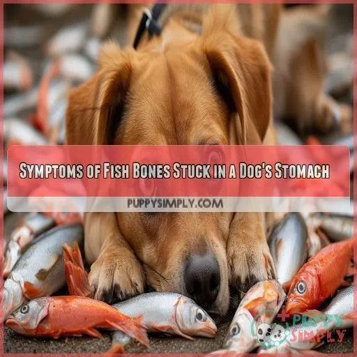 Symptoms of Fish Bones Stuck in a Dog