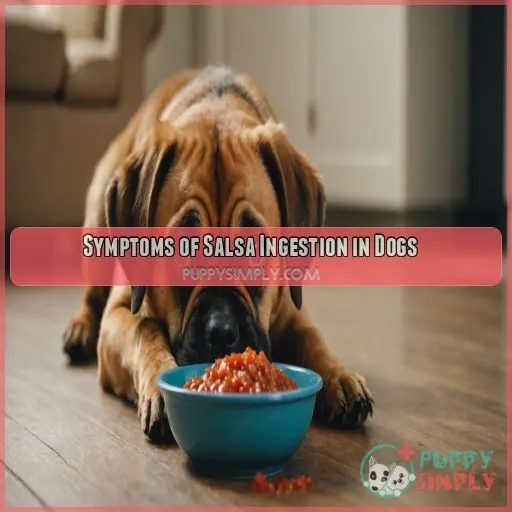 Symptoms of Salsa Ingestion in Dogs